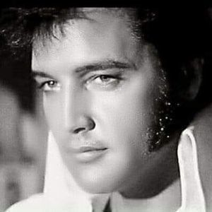 Meet your Posher, Terry